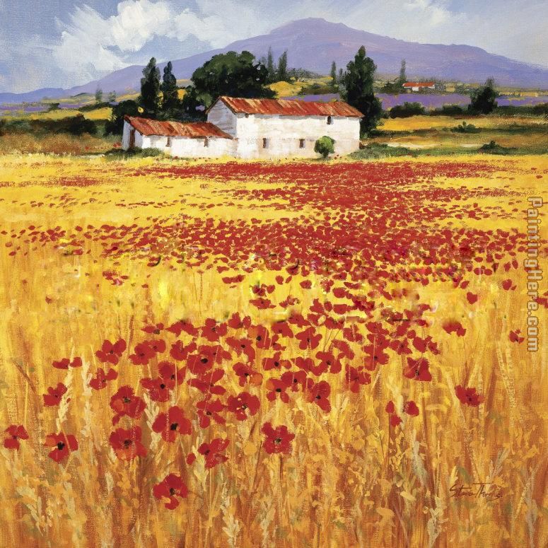 Poppies field painting - Steve Thoms Poppies field art painting